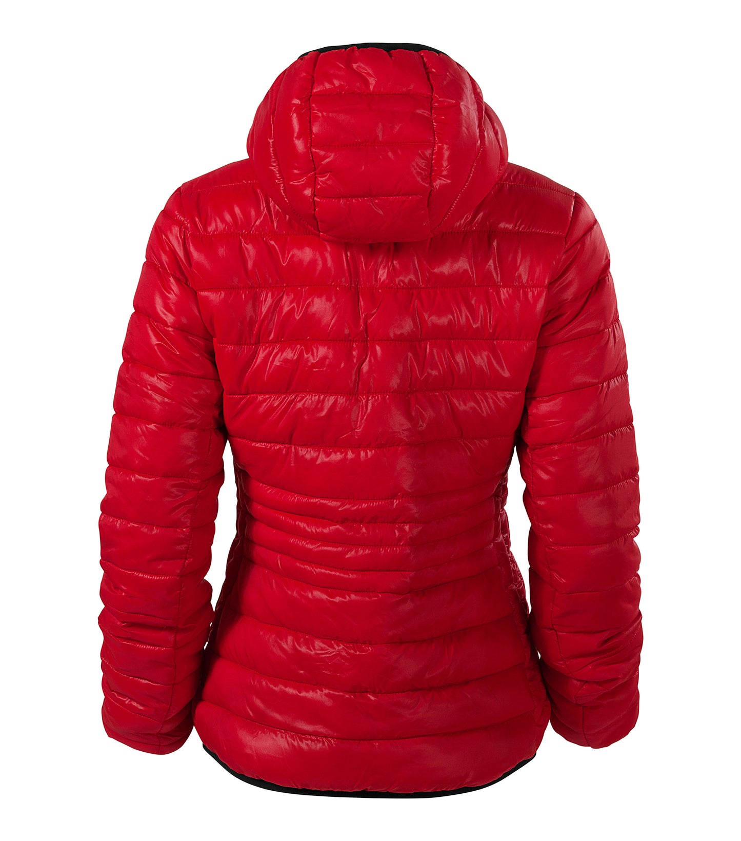 MALFINI PREMIUM JACKE LADIES EVEREST 551